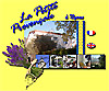 Link to la Petite Provenale